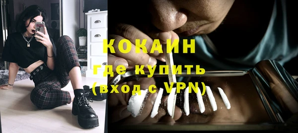 тгк Алзамай