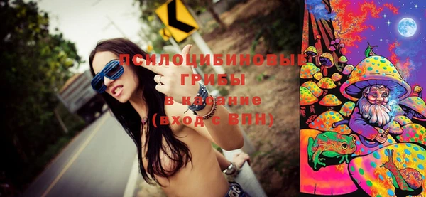 тгк Алзамай